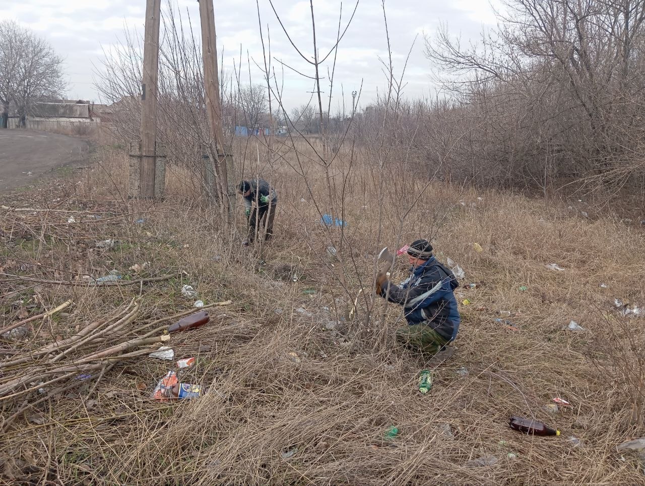 Благоустройство пгт Новодарьевка Благоустройство пгт Новодарьевка