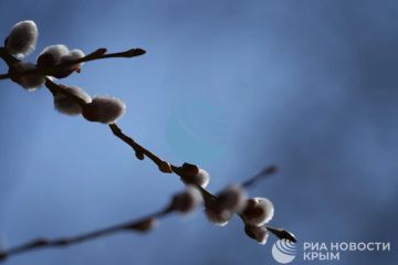 Погода на новых территориях России