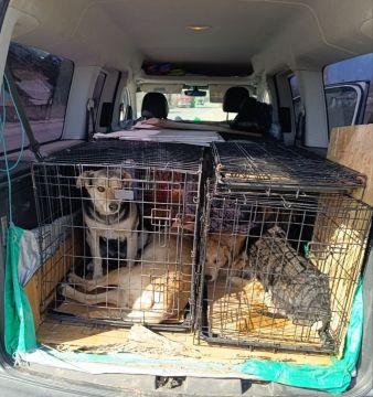 ������������ ����������� � ��������� ��� ����������