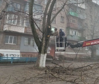 ������������� �������� ��������� ������ �� ���������� ������