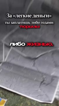 Цена одной ошибки — жизнь. За красивыми обещаниями «сладкой жизни» часто скрывается ловушка