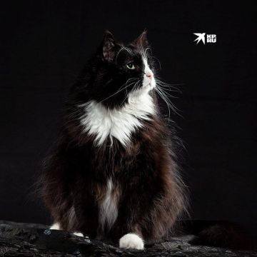 27 ����� - ���� ���������� �����