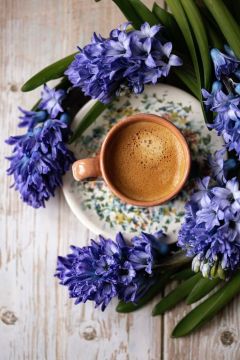 ������ ����. � ��� � �������! ���� ������ ������� ���!