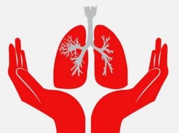 ������������� ������������ ��� ���������� � ��� ����������� ������������ ���������� (������� ����) ������������� �������� ������������������� ����������