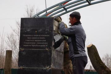 ������� ���������: ��������� � ������ ����: 40-����� �� ��� ������ �� ������������� ���