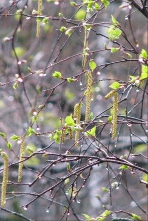 � ������ �����!. ������ ��� �������� ����������!