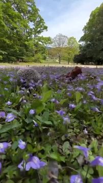 � ������ �������� �����, ������ �������������� ������! �������� ���� ��������!