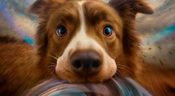 Луганская афиша: что и когда посмотреть в Луганске на выходных