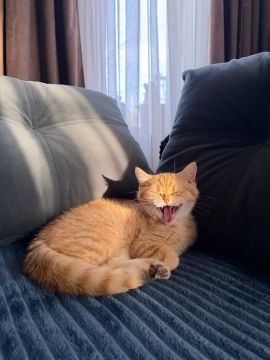 29 ����� �� ���������� ��������� �������� ���������� ����� ������� � ������������