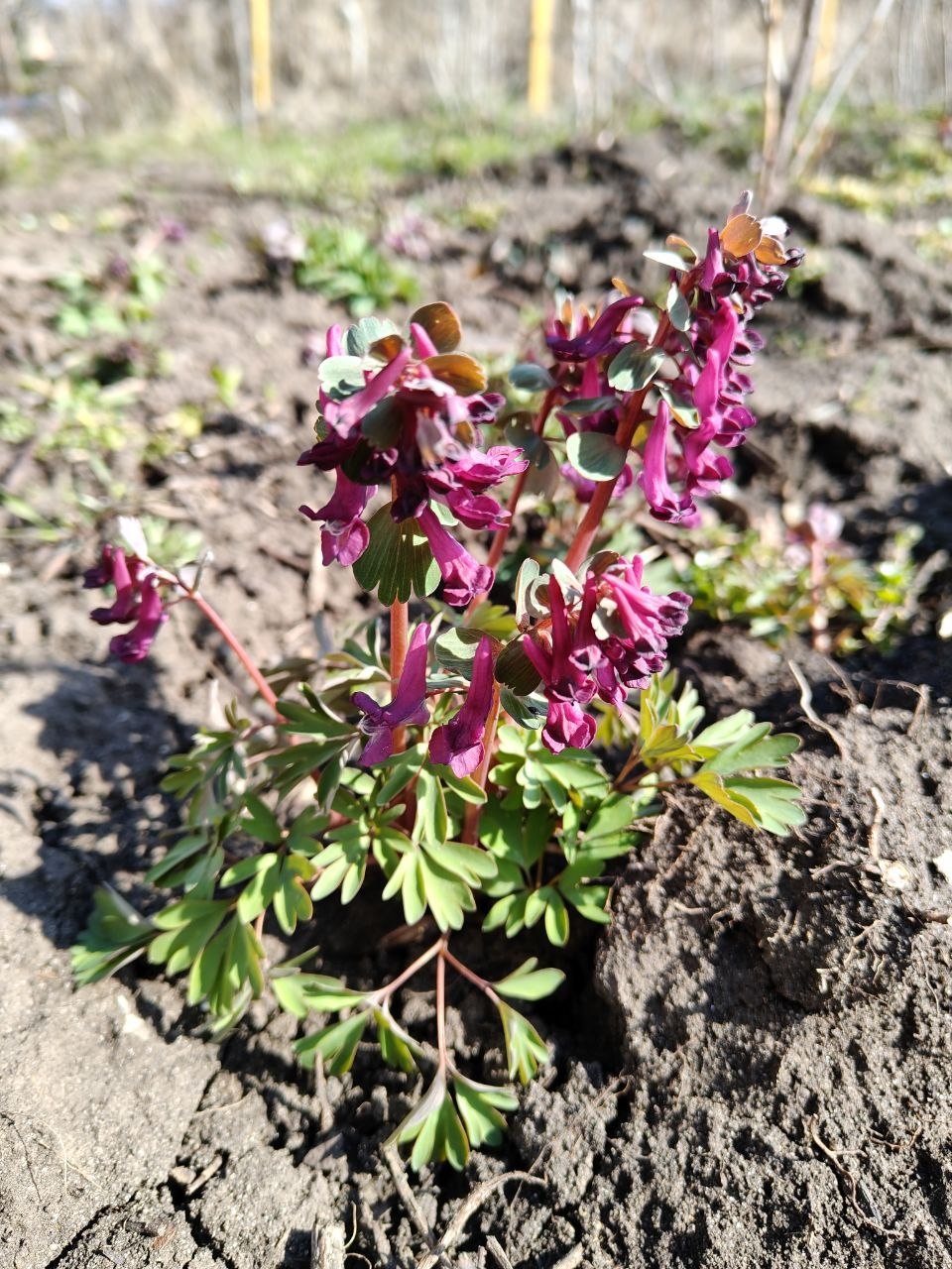 Начнем последнюю субботу марта красиво: с разноцветными фото от наших любимых подписчиков Начнем последнюю субботу марта красиво: с разноцветными фото от наших любимых подписчиков