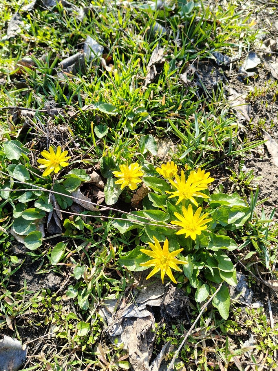 Начнем последнюю субботу марта красиво: с разноцветными фото от наших любимых подписчиков Начнем последнюю субботу марта красиво: с разноцветными фото от наших любимых подписчиков