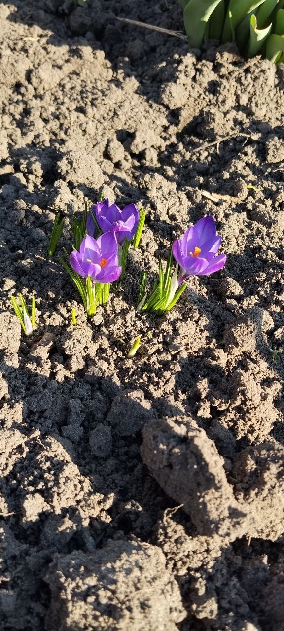 Начнем последнюю субботу марта красиво: с разноцветными фото от наших любимых подписчиков Начнем последнюю субботу марта красиво: с разноцветными фото от наших любимых подписчиков