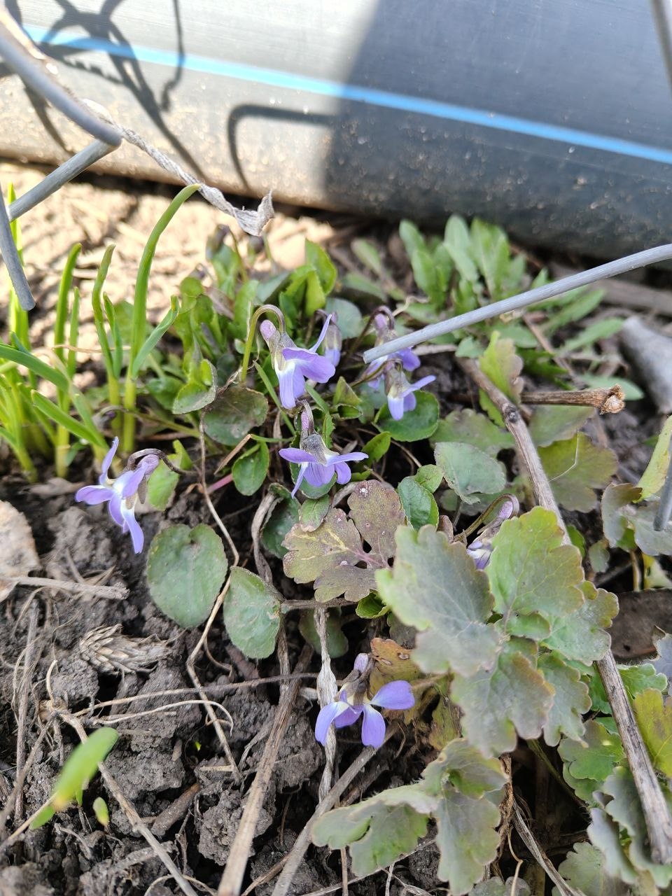 Начнем последнюю субботу марта красиво: с разноцветными фото от наших любимых подписчиков Начнем последнюю субботу марта красиво: с разноцветными фото от наших любимых подписчиков