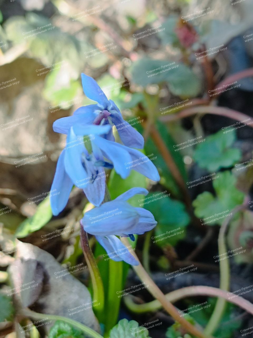 Доброе утро! Суббота, 28 МАРТА Доброе утро! Суббота, 28 МАРТА