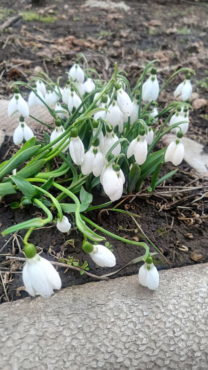 Начнем последнюю субботу марта красиво: с разноцветными фото от наших любимых подписчиков