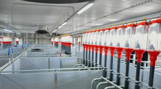 ����������� ���������� ��������� ������� � ��� ��� ����� ���� ���