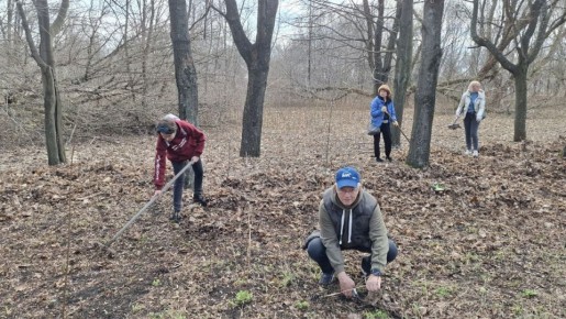 ���� �������-�������: ������� ������ ������� � ������������� ����������, �������������� ������ ���������� ������ ������� ����������