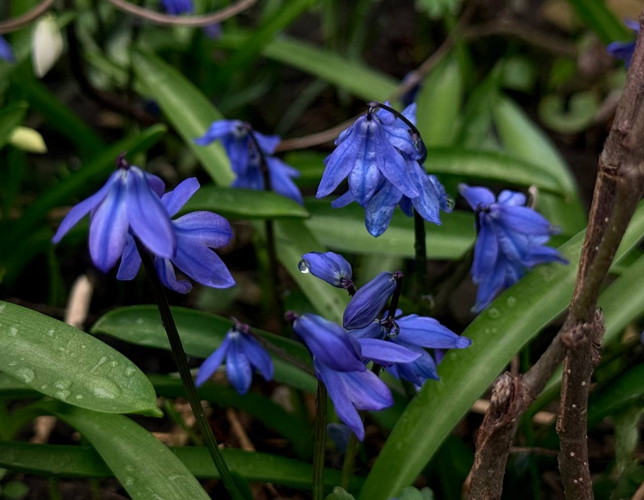Начнем последнюю субботу марта красиво: с разноцветными фото от наших любимых подписчиков Начнем последнюю субботу марта красиво: с разноцветными фото от наших любимых подписчиков