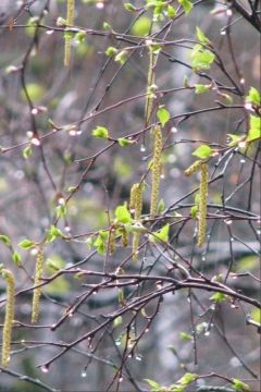 � ������ �����!. ������ ��� �������� ����������!