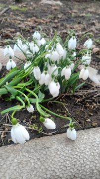 ������ ��������� ������� ����� �������: � ������������� ���� �� ����� ������� �����������