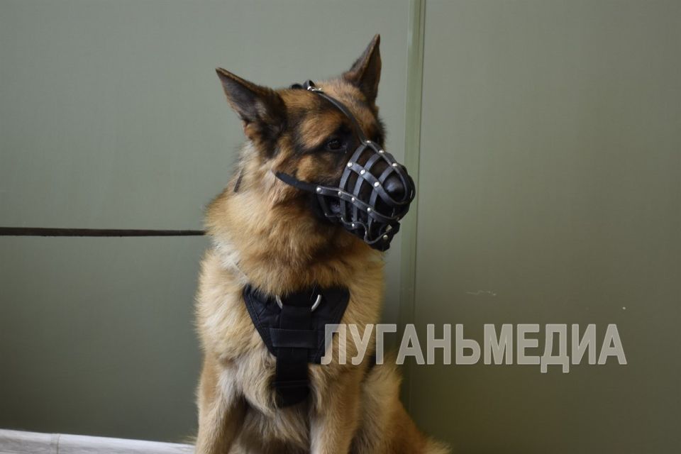 Мероприятие «Всегда на страже», посвященное Дню войск национальной гвардии Российской Федерации, состоялось в Марковском районном Доме культуры Мероприятие «Всегда на страже», посвященное Дню войск национальной гвардии Российской Федерации, состоялось в Марковском районном Доме культуры