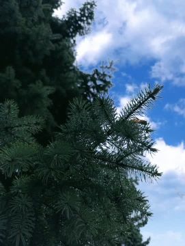 � ������ �����!. ����� ��� �������� � ����-�� ���������� � �����������