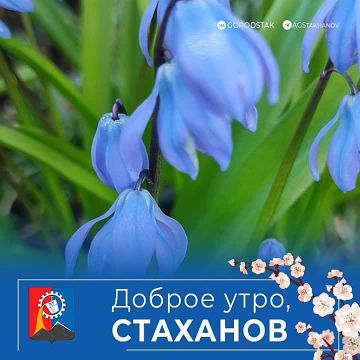Доброе утро!. Родной город просыпается, солнце заливает крыши, и повсюду, среди суеты и бетона, пробиваются первые весенние цветы
