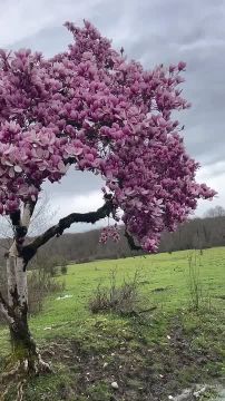 С добрым воскресным утром, жители Новоайдарского округа! Прекрасного мартовского настроения вам!