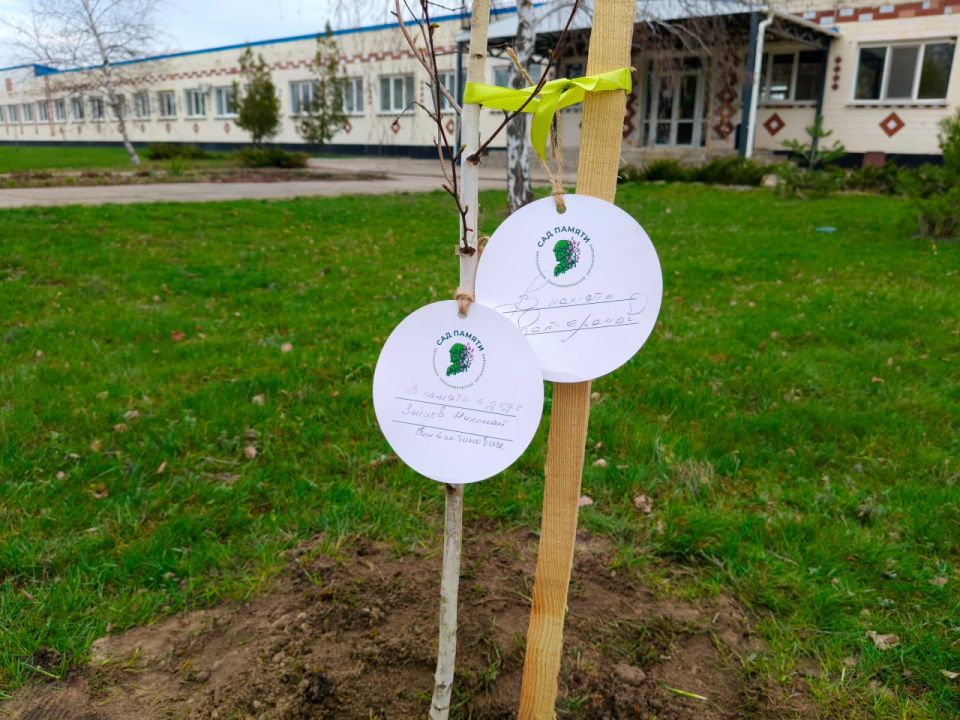 В Луганской Народной Республике дан старт Международной акции «Сад памяти» В Луганской Народной Республике дан старт Международной акции «Сад памяти»