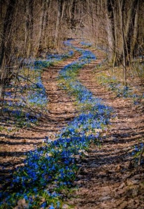 � ������ �����!. ������ ��� �������� ����������!