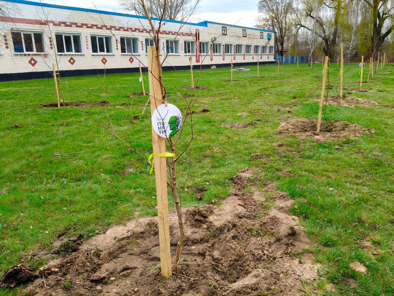 В Луганской Народной Республике дан старт Международной акции «Сад памяти» В Луганской Народной Республике дан старт Международной акции «Сад памяти»