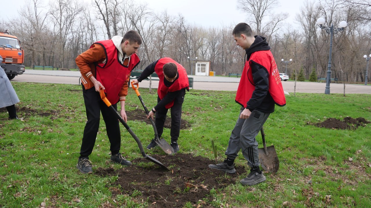 В рамках Всероссийской акции «Сад памяти» в Луганске высадили сосны В рамках Всероссийской акции «Сад памяти» в Луганске высадили сосны
