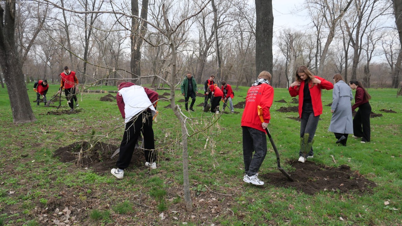 В рамках Всероссийской акции «Сад памяти» в Луганске высадили сосны В рамках Всероссийской акции «Сад памяти» в Луганске высадили сосны