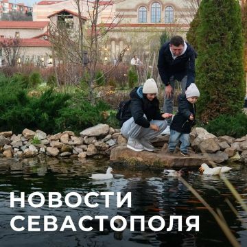 ������ ���������: ������� � �������:. ������� � � �����