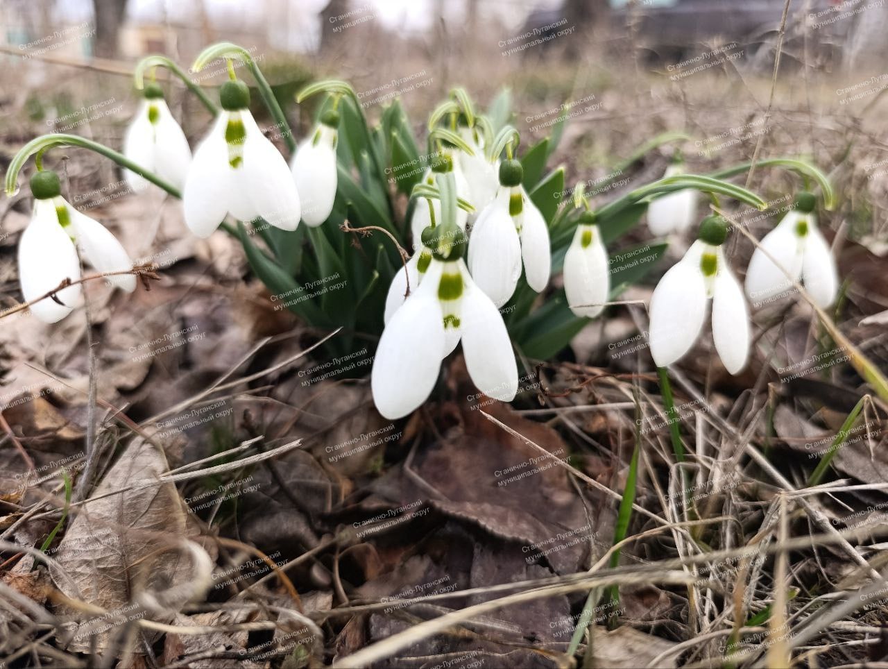 Доброе утро! Понедельник, 30 марта Доброе утро! Понедельник, 30 марта