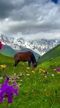 � ������ �����, ������ �������������� ������! ���� �������� �������� ������!