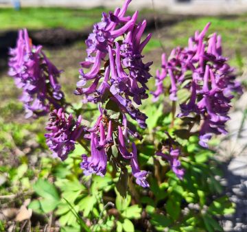 Доброе утро, Кировск!. Желаем всем хорошего дня, позитивного настроения и удачной недели! @agklnr #Кировск