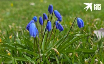 ������ � ��� �� 30 �����. ���� ������ ���������� �� +20