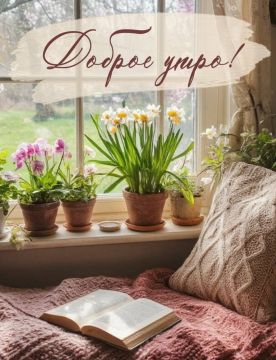Спокойствие ночи сменяется бодростью утра — впереди целый день возможностей!