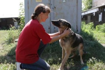 ��������� ��������� �������� �������� ������������ ��������� �������� � �����������