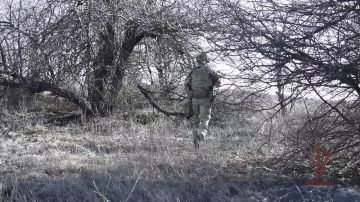 �� ������� �������� � ��� ������� ����������