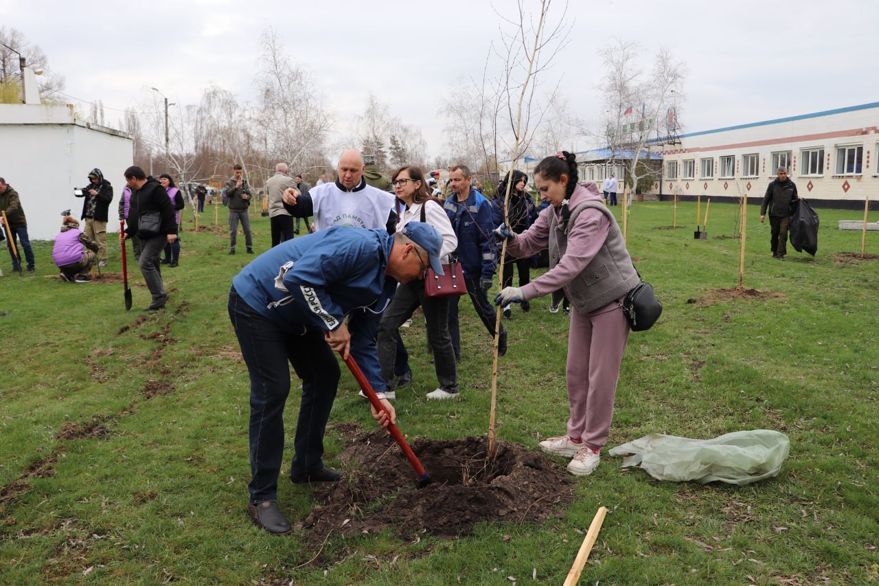 В Станично-Луганском муниципальном округе стартовала Международная акция «Сад памяти», высади свое памятное дерево в честь защитника Отечества В Станично-Луганском муниципальном округе стартовала Международная акция «Сад памяти», высади свое памятное дерево в честь защитника Отечества