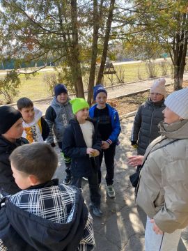 �������������� ������������ ������� ���� �������� �. ������� ������� �������������� ������ � �����������, ���������� � �������������������� ������������