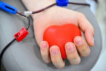 Ваши права как донора крови