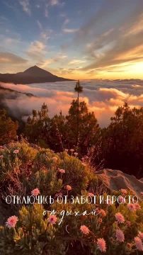 Доброй и мирной ночи, жители Новоайдарского округа!