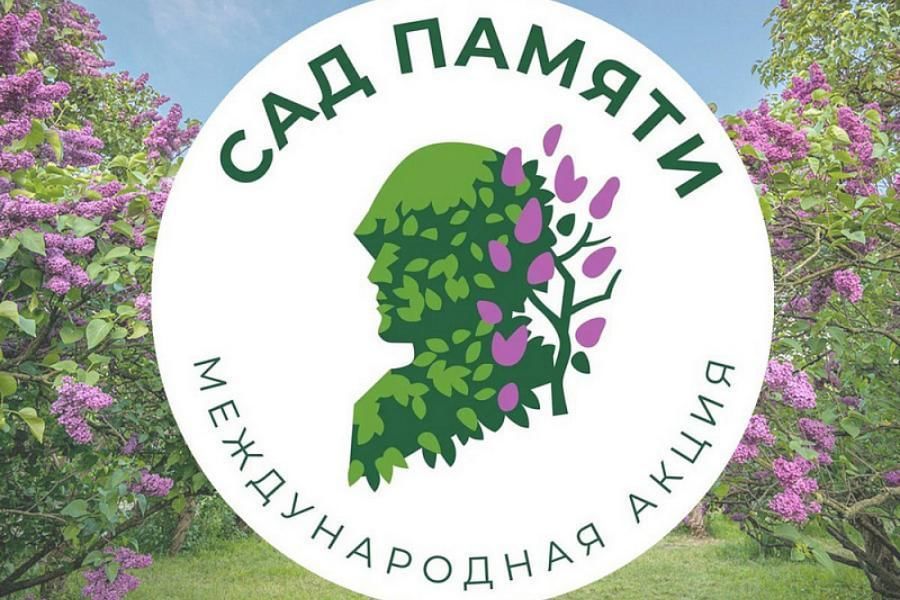 В Станично-Луганском муниципальном округе стартовала Международная акция «Сад памяти», высади свое памятное дерево в честь защитника Отечества
