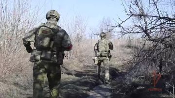 ������ � ������������ ��������� �� ������� �������� � ���