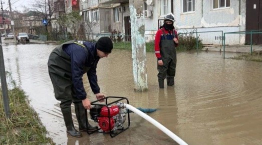 ������ ������������ ���������� ������������� ��������� �������������� ������������� ������� ���������� (����) � ������� ������� ����������� �������� ������������� ����������� ���������� � ���������