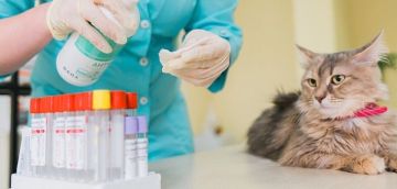 ������ ����� � �������� �������� � �������������!!!