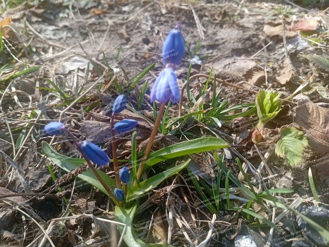 Доброе утро! Вторник, 31 марта Доброе утро! Вторник, 31 марта